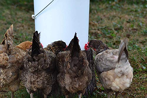 Make Your Own Chicken Waterer Kit - Horizontal Chicken Nipples 20-Pack + Installation Piece