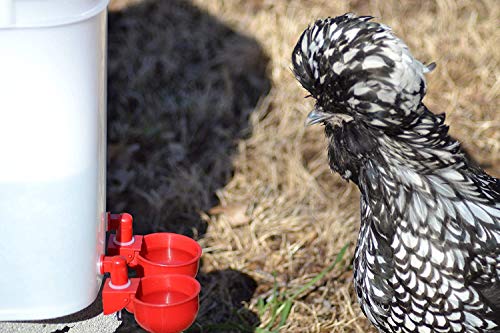 Automatic Chicken Water Cup Waterer Kit for Poultry 4-Pack