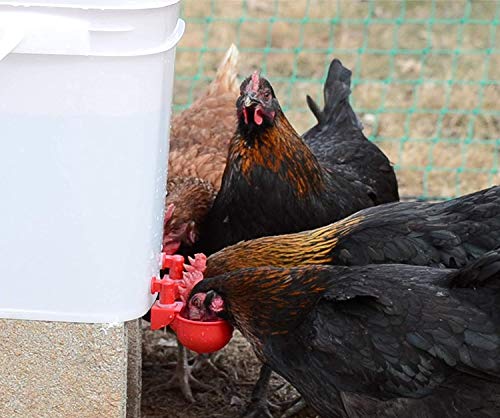 Automatic Chicken Water Cup Waterer Kit for Poultry 6-Pack