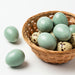 Celadon Coturnix Hatching Eggs closeup in the basket