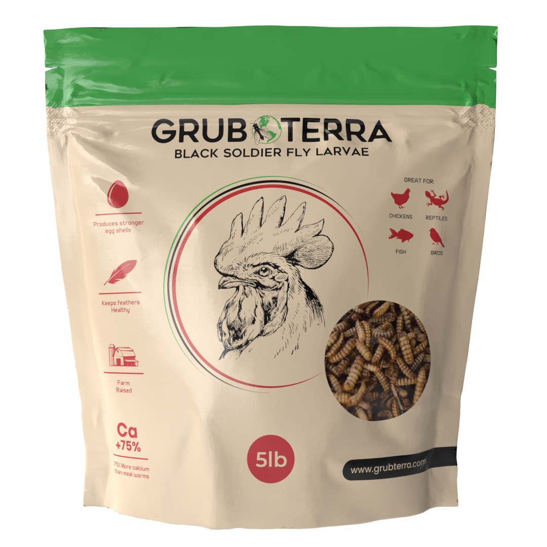 GrubTerra Black Soldier Fly Larvae | 5lb & 10lb Bags
