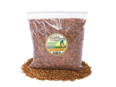 5 lb Chubby dried black soldier fly larvae in resealable bags