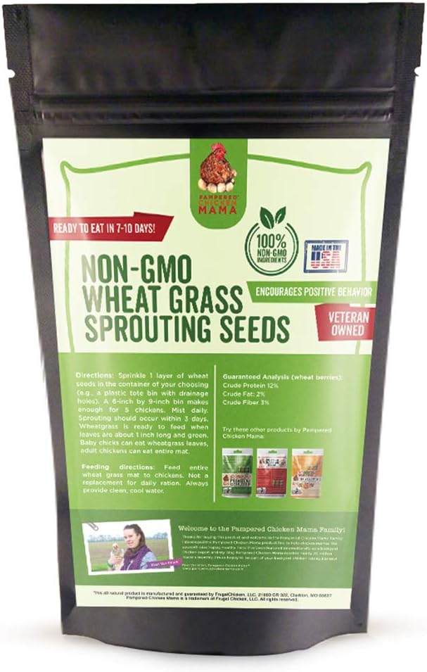 Pampered Chicken Mama Non-GMO Wheat Seeds for Sprouting Fodder (Wheat Grass)