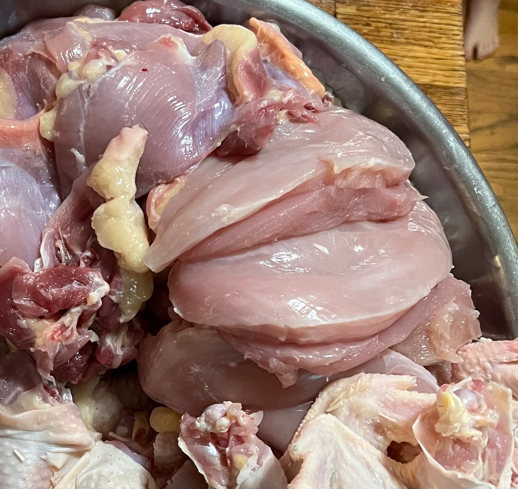 North Star Farms - White American Bresse – North Star Line- "JENN'S GEMS" Group