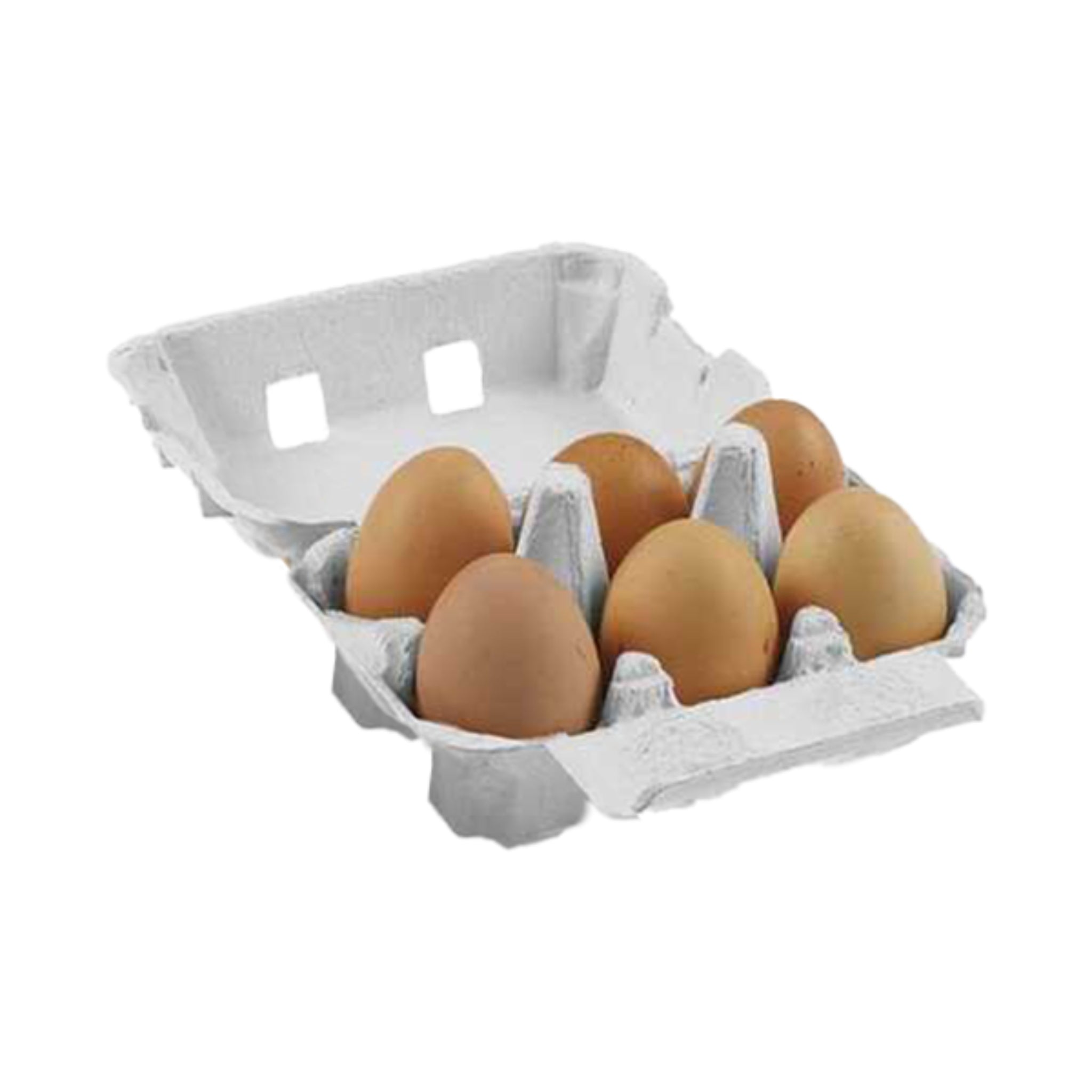 Hatching Time 6-Egg Cartons - Natural Pulp, Flat Blank Top