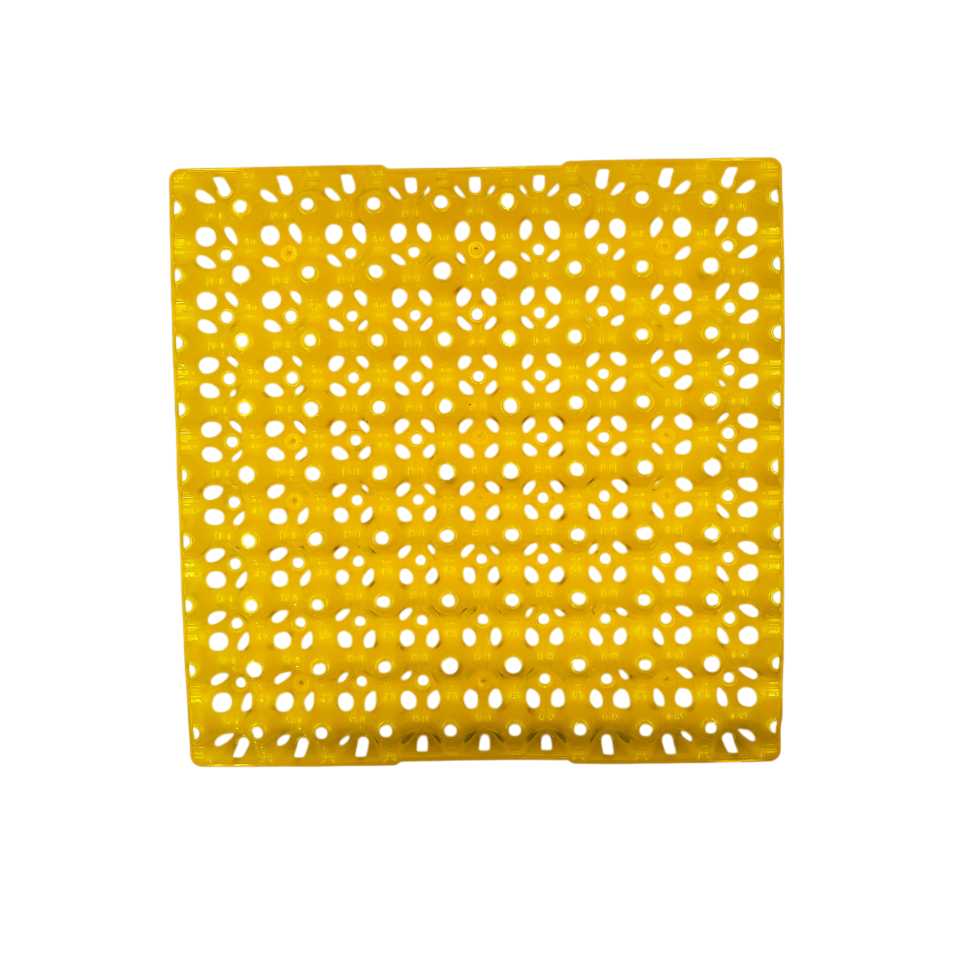 72 Quail Egg Setter Tray with individual positions for quail egg incubation.