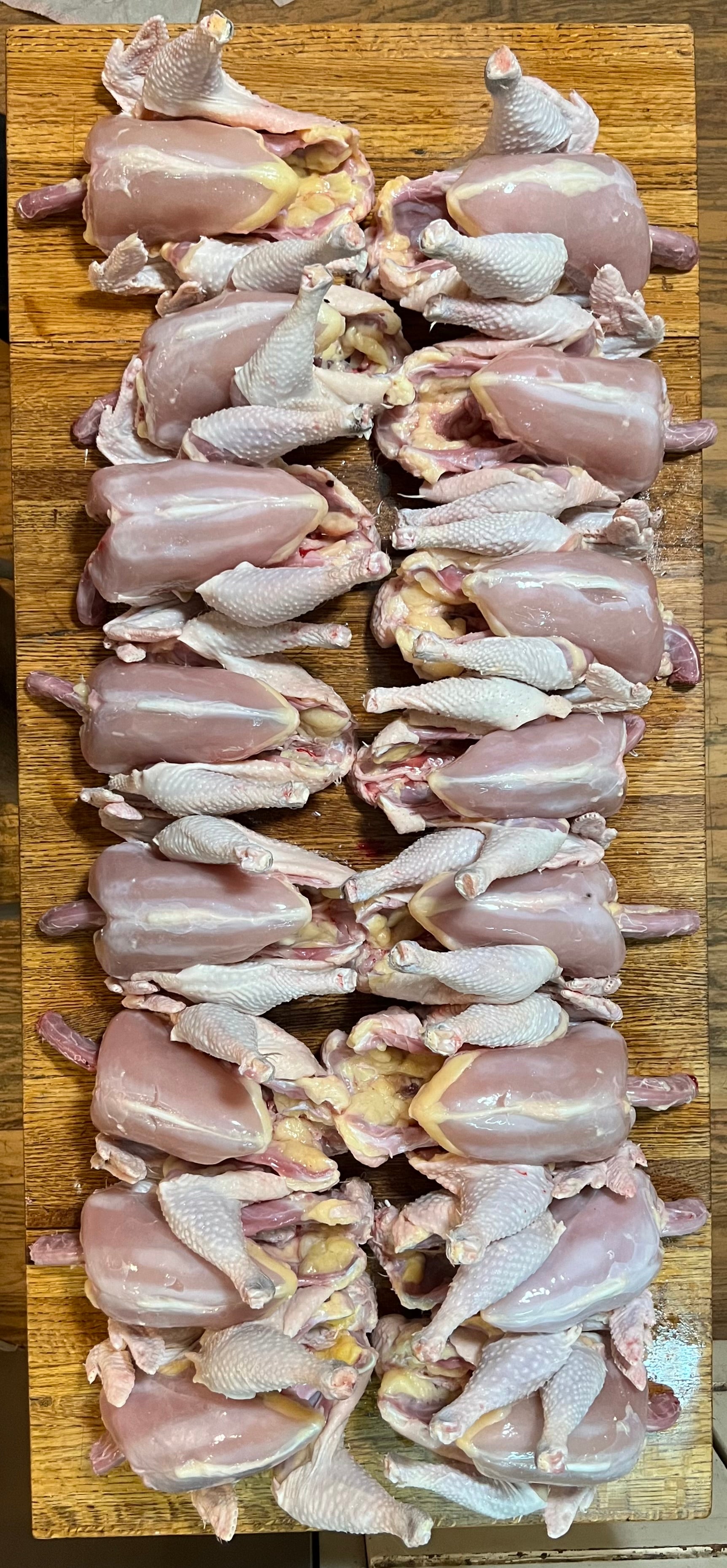 North Star Farms North Star Gauloise - The New AMERICAN BRESSE - 10 Count Box of "Abigail's Crystal Foot" Group