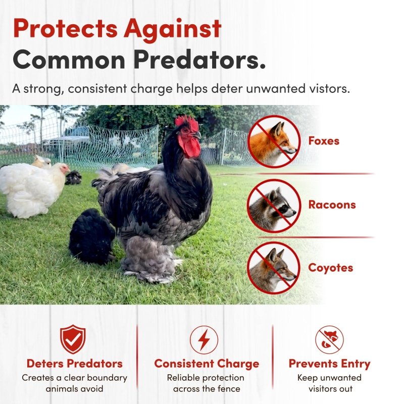 42" Electric Poultry Fencing - Suitable for Chickens, Ducks, Turkeys, and Other Poultry