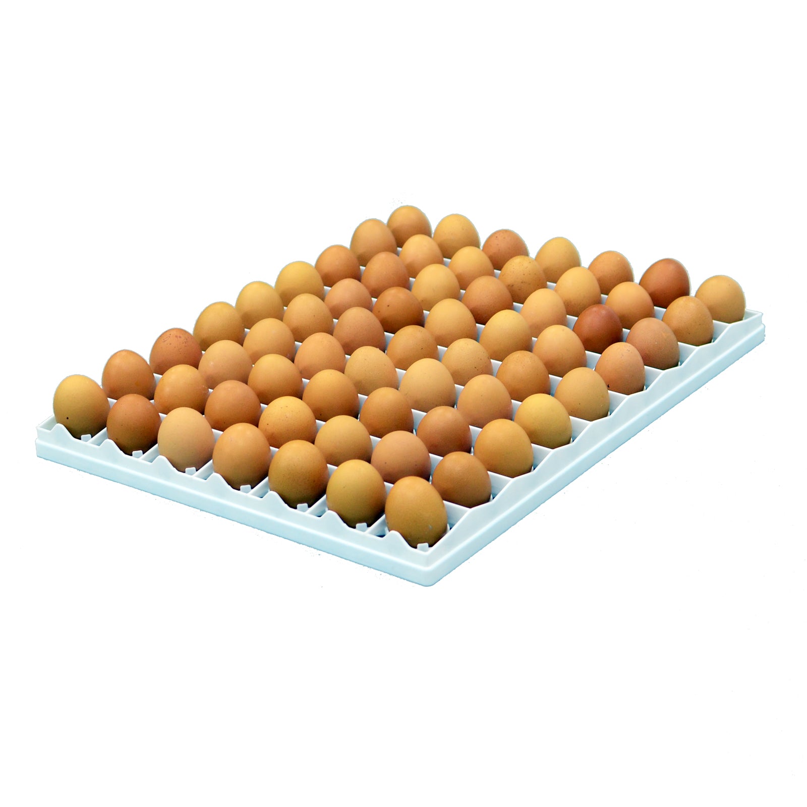 80-egg plastic setter tray for chicken egg incubation.
