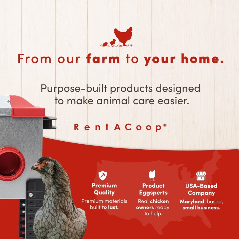 RentACoop 15lb Metal Chick2Chicken Feeder with 6 Ports