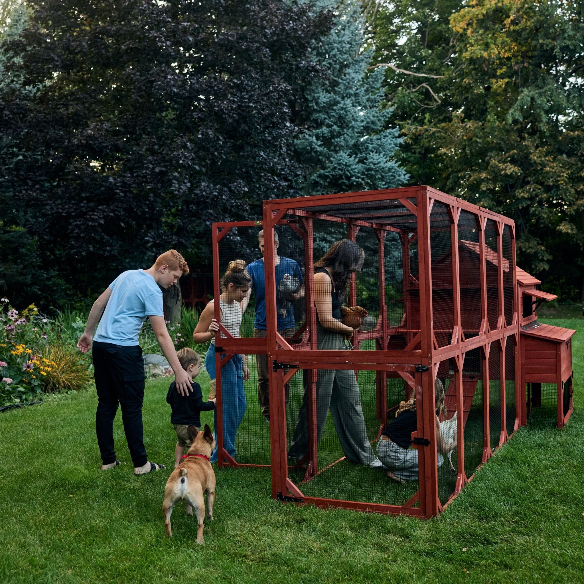 Chicken Coop Kit for 10 Chickens - 3 Run Options | Rhode Island Homestead Coop