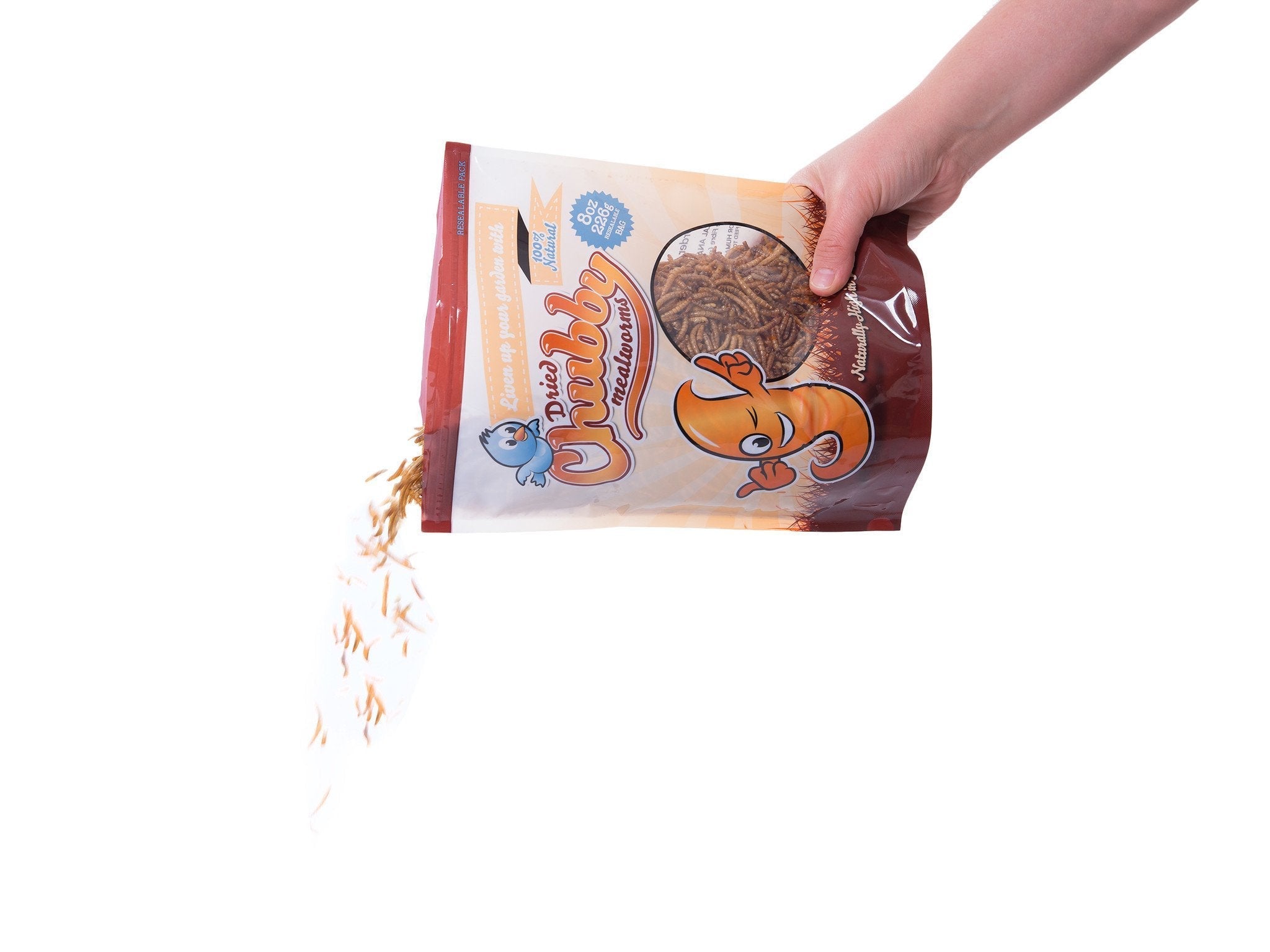Chubby Dried Mealworms 10Lbs