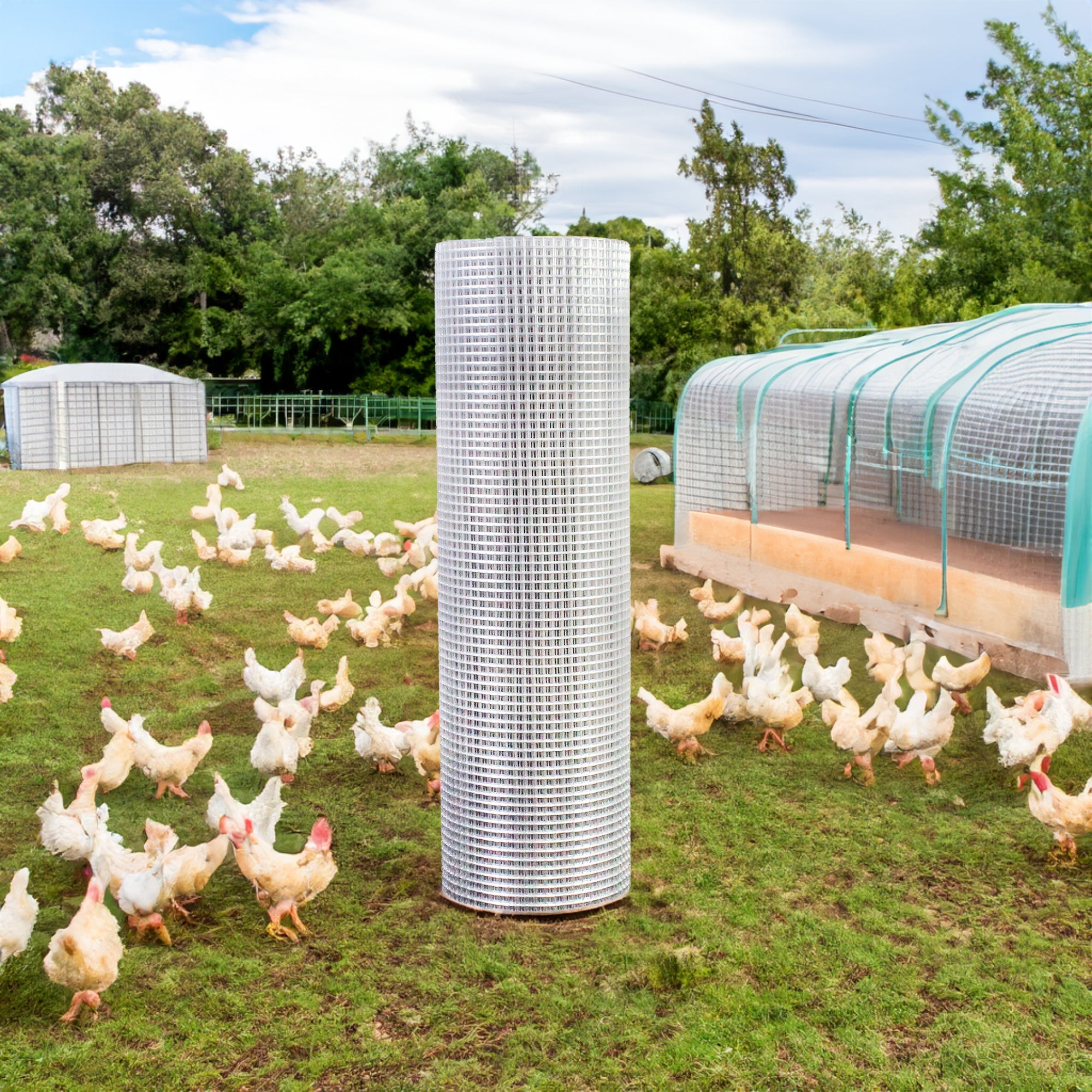 Hardware Cloth - Galvanized for Chicken Coops (1/4 inch 36 inch x 100 foot 23 gauge)