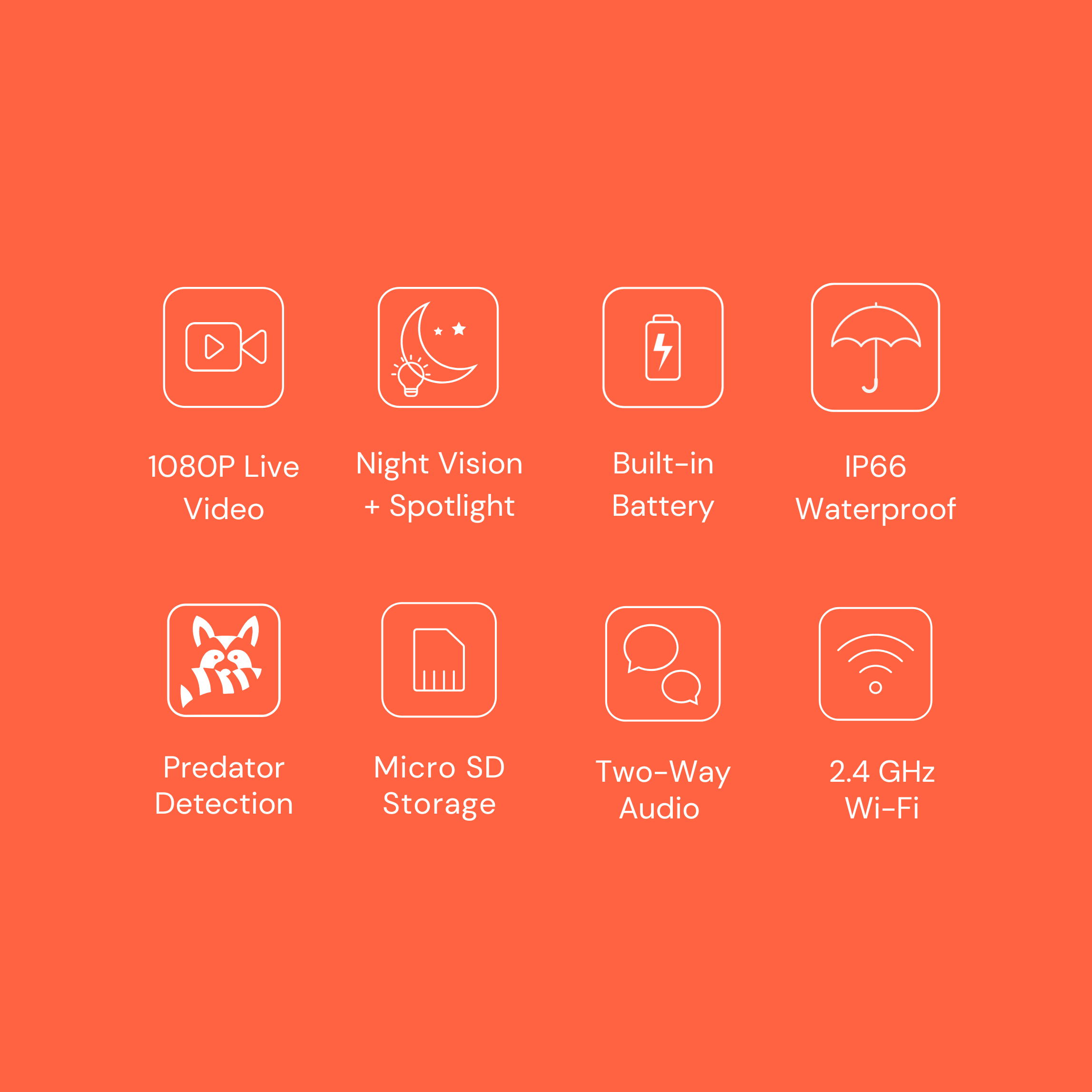 Chicken Coop Smart Camera | App & WiFi Control