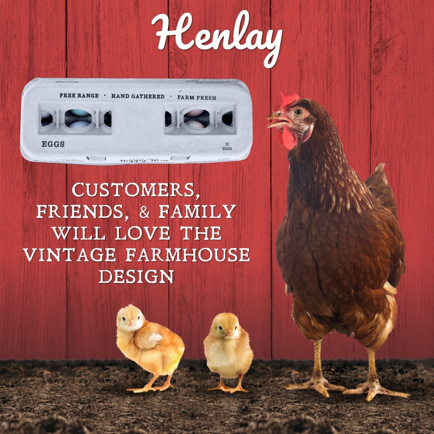 Henlay Traditional Egg Cartons