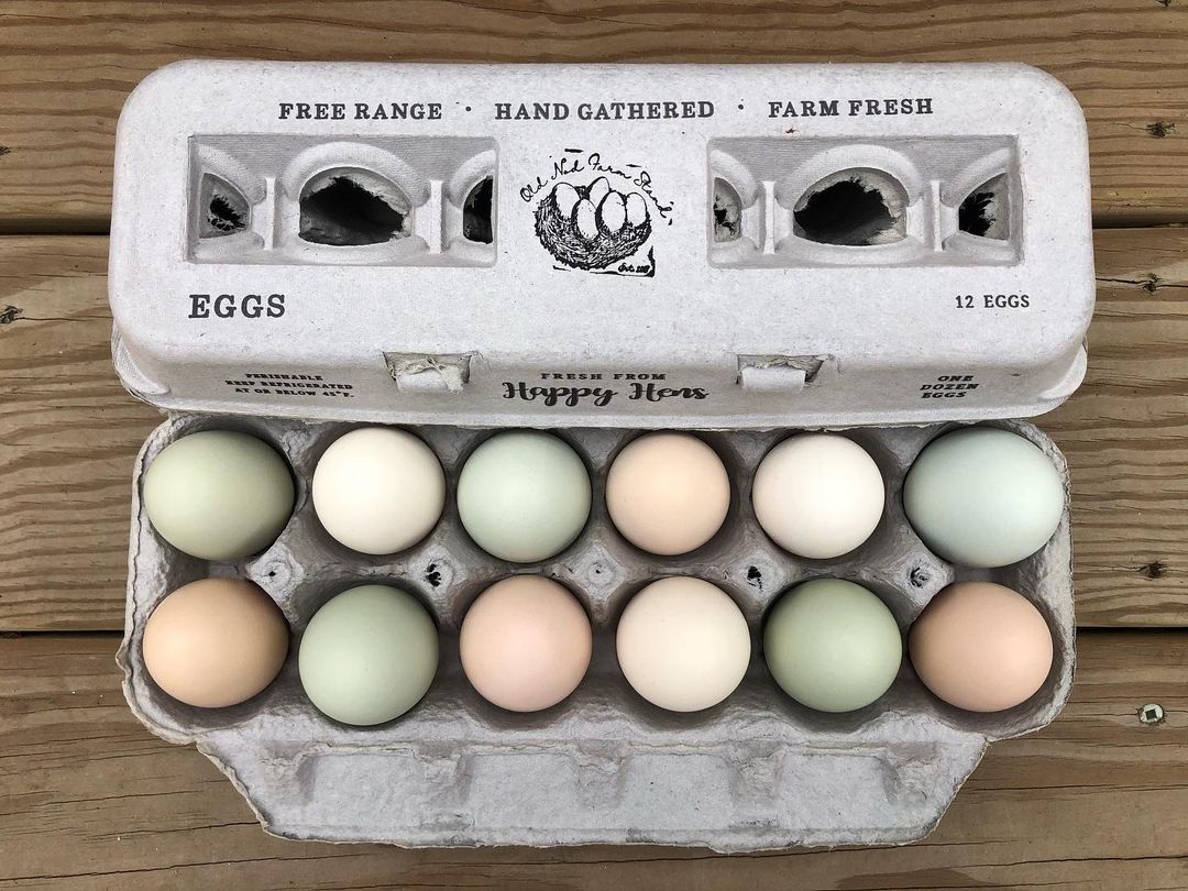 Henlay Traditional Egg Cartons