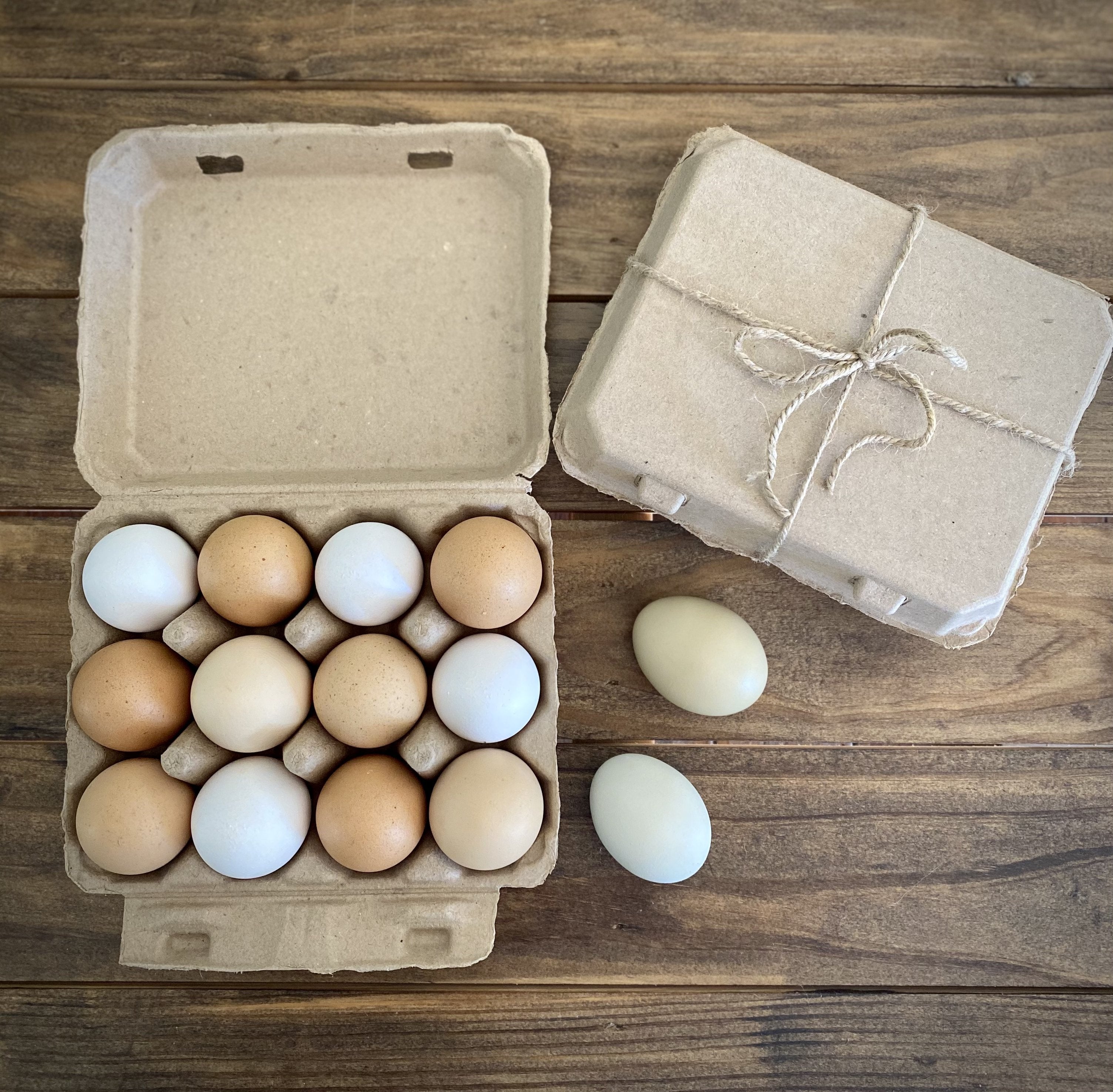 Henlay Vintage Blank Egg Cartons Tan or White