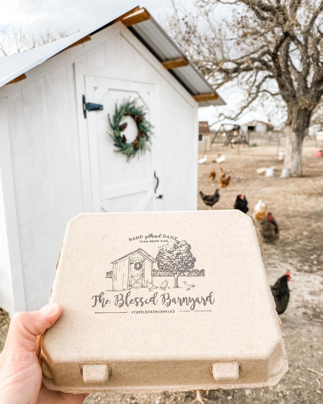 Henlay Vintage Blank Egg Cartons Tan or White