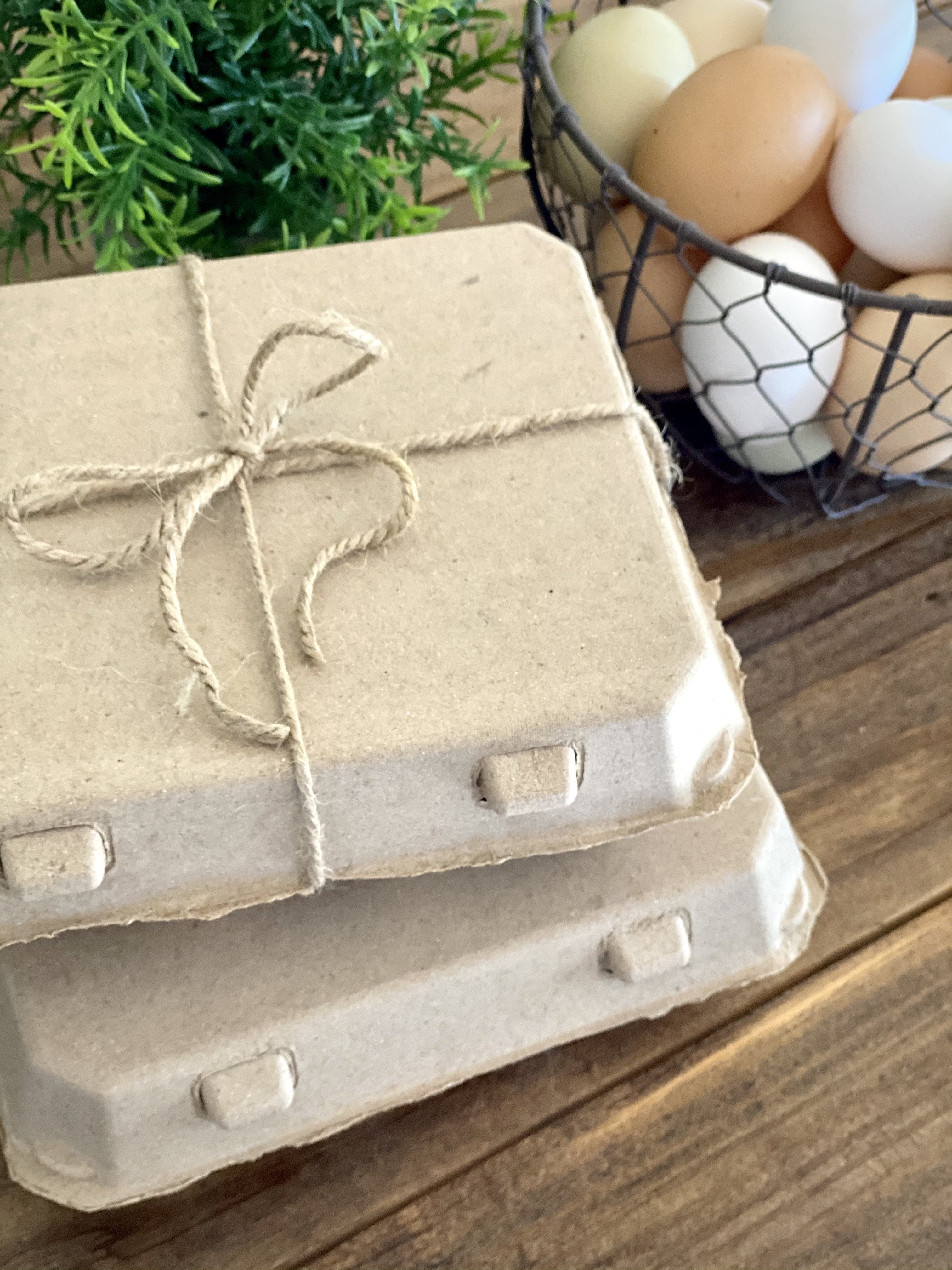 Henlay Vintage Blank Egg Cartons Tan or White