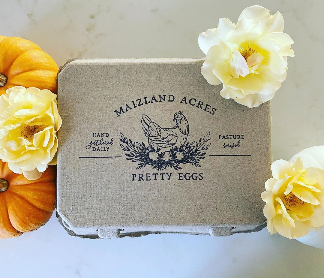 Henlay Vintage Blank Egg Cartons Tan or White