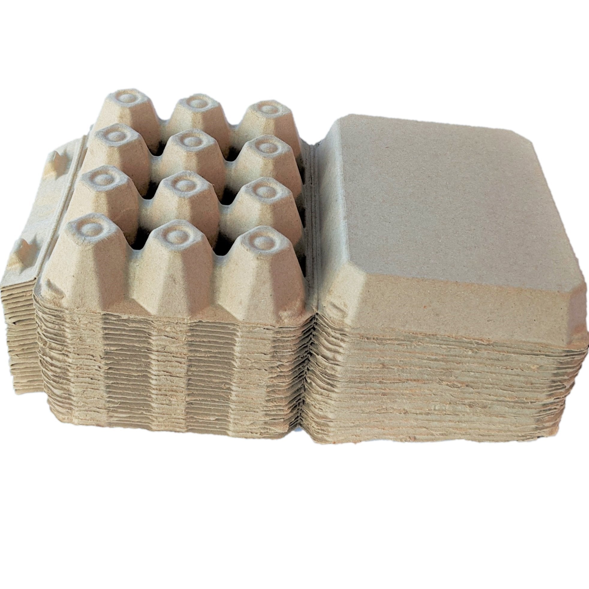 Henlay Vintage Blank Egg Cartons Tan or White