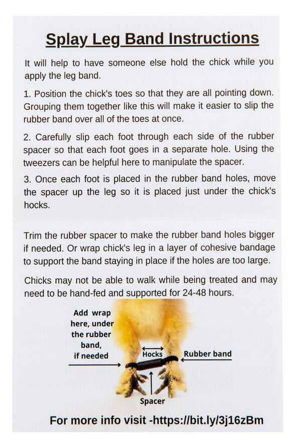 My Pet Chicken Chick First Aid Kit