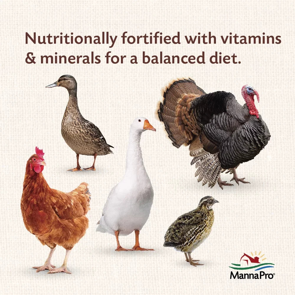 MannaPro All Flock Crumbles Priobiotics 16% 8 LB