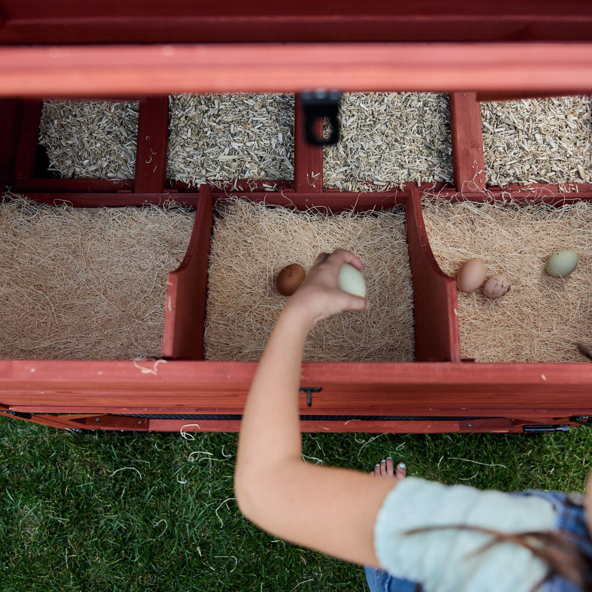 Chicken Coop Kit for 10 Chickens - 3 Run Options | Rhode Island Homestead Coop