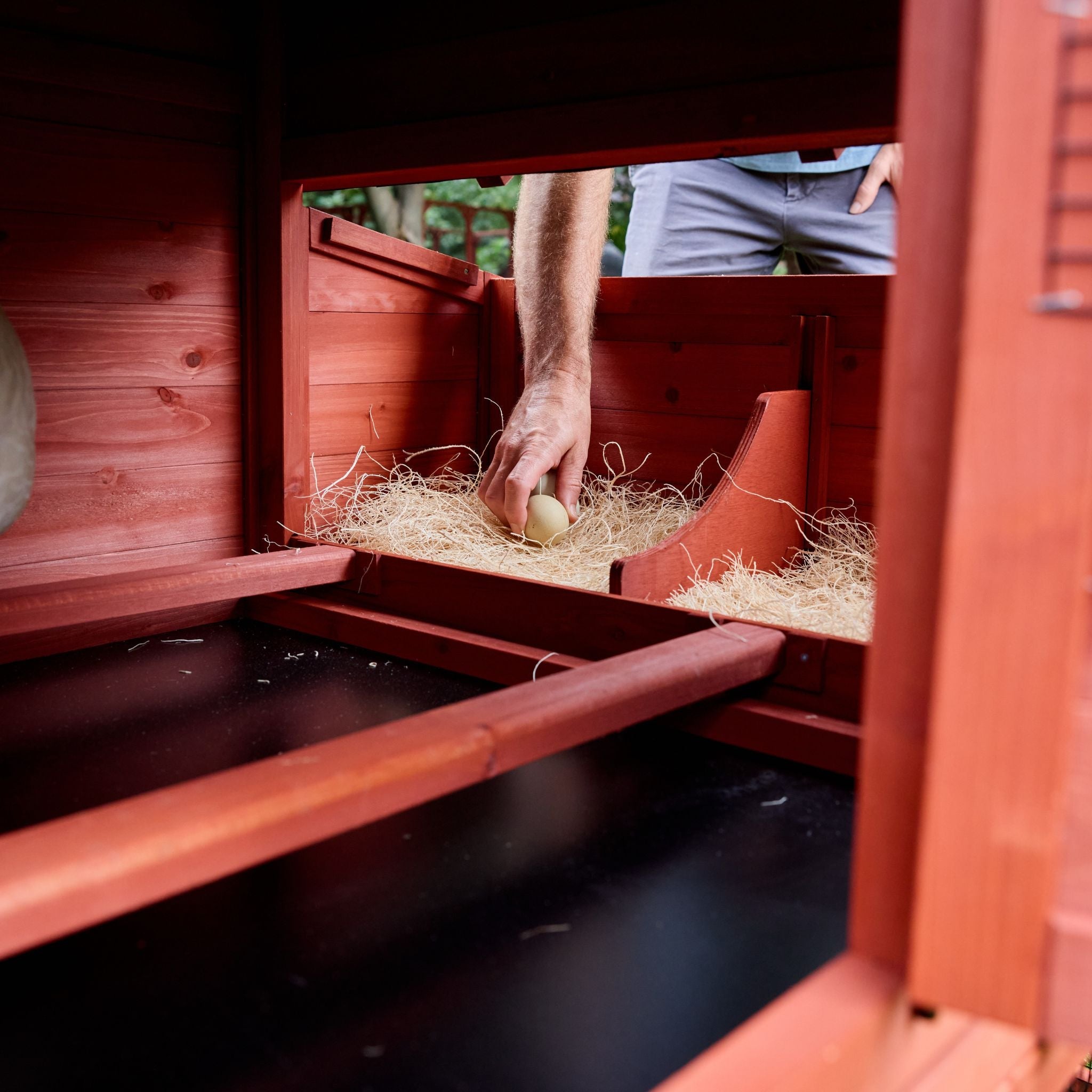 Chicken Coop Kit for 4 Chickens | Leghorn Cottage Chicken Coop