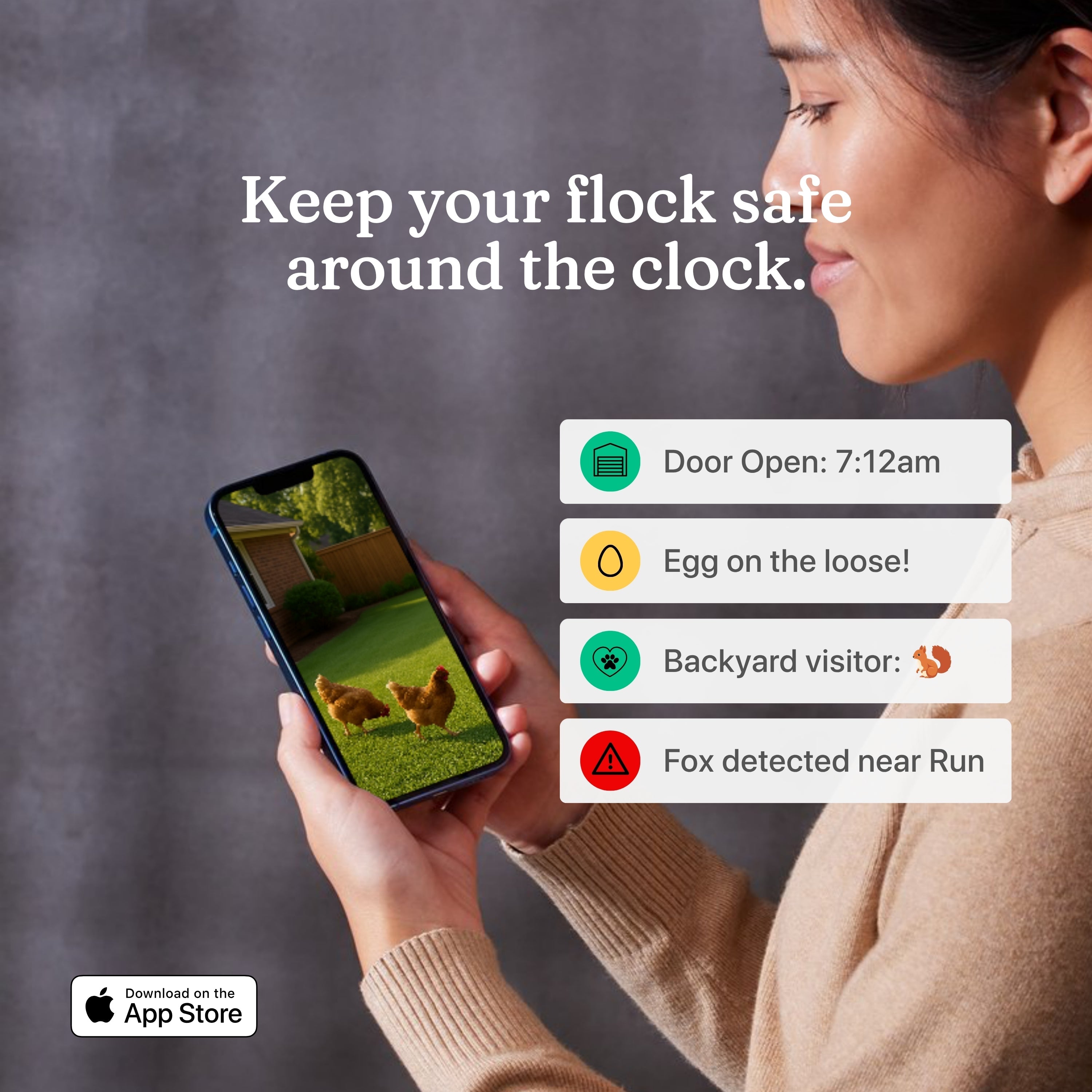 Chicken Coop Smart Camera | App & WiFi Control