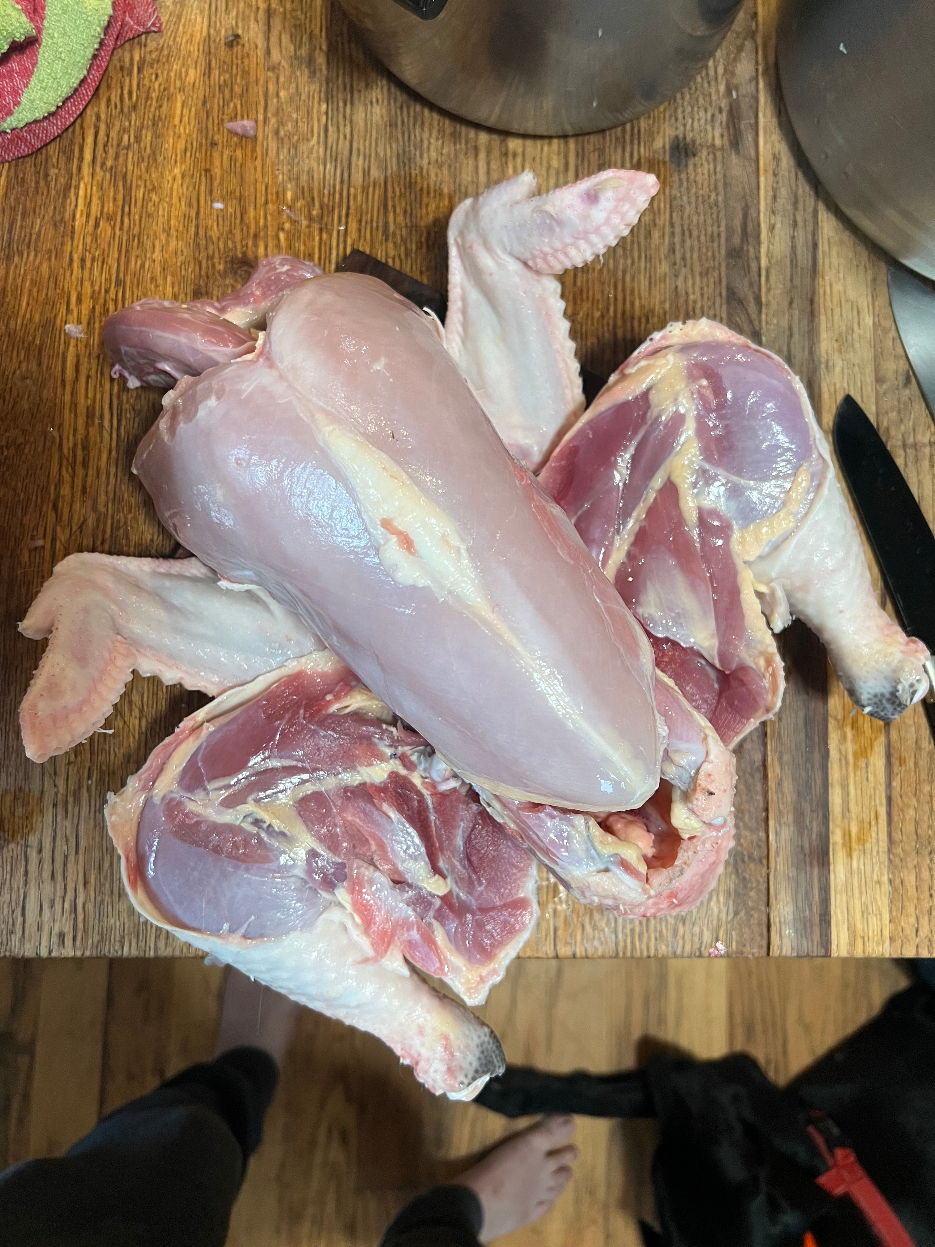 North Star Farms - White American Bresse – North Star Line- "JENN'S GEMS" Group