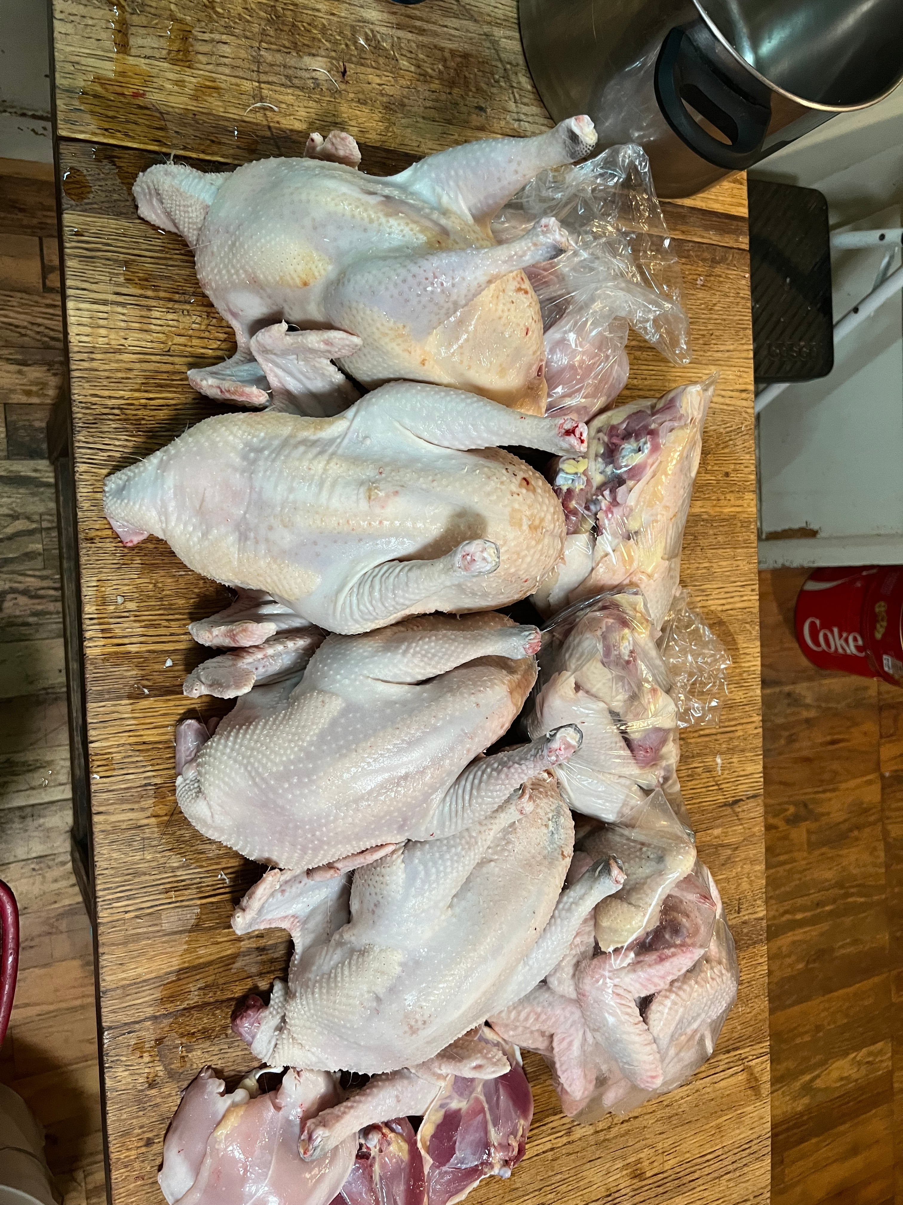 North Star Farms - White American Bresse – North Star Line- "JENN'S GEMS" Group