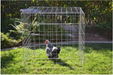 Square Chicken Cage - 40in X 40in X 40in (Cuadro grande) main image