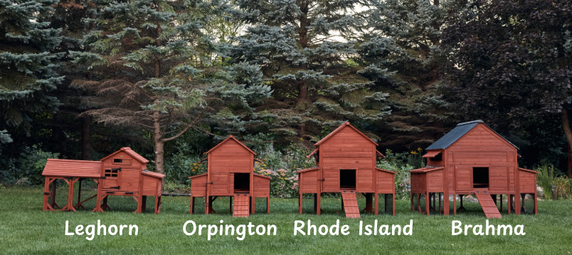 Chicken Coop Kit for 6 Chickens | Orpington Lodge