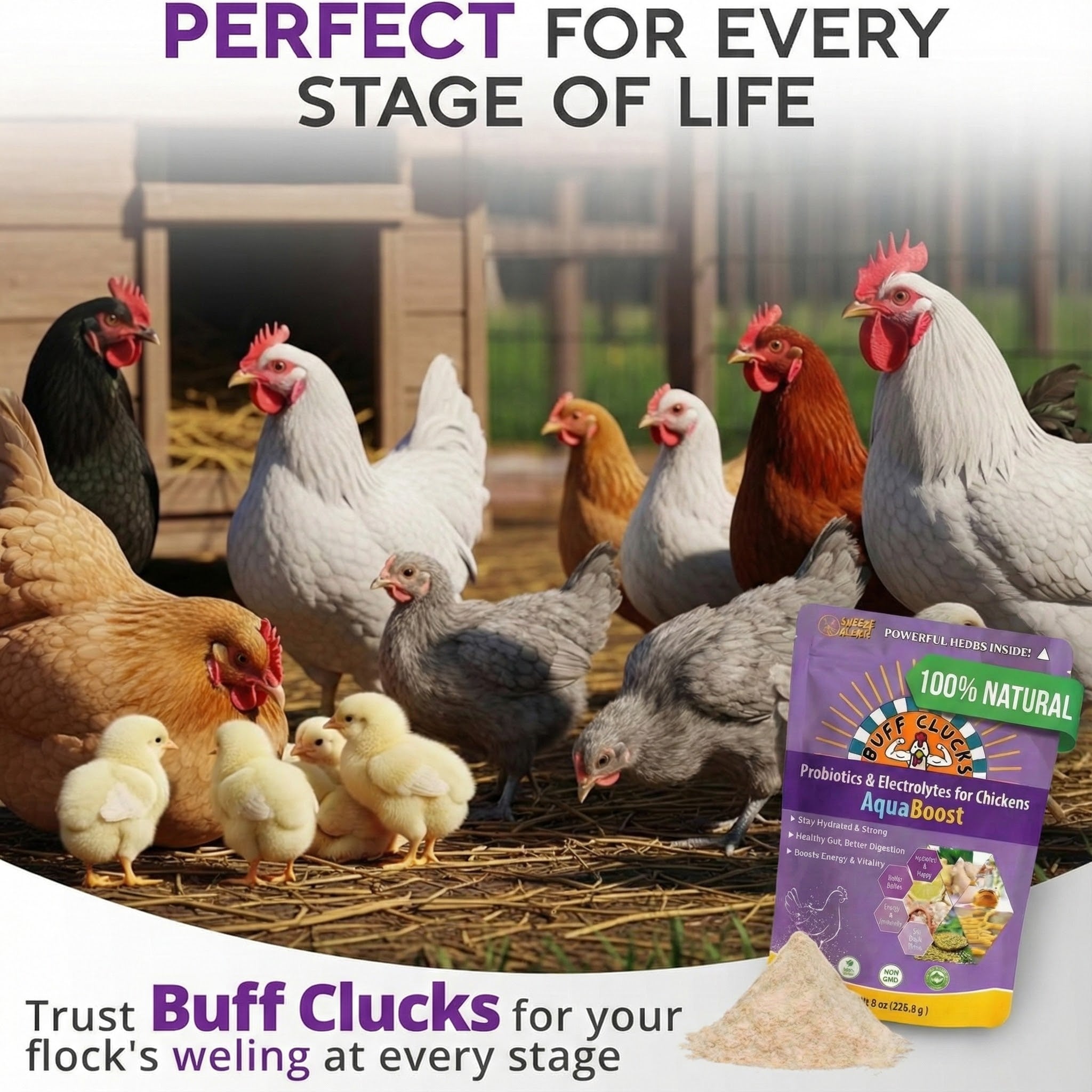 AquaBoost chicken water supplement with electrolytes and probiotics