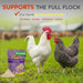 AquaBoost poultry electrolyte and probiotic water supplement