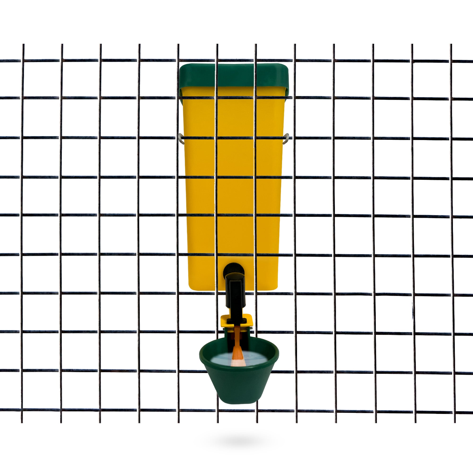 Automatic-fill poultry waterer for backyard chicken coops