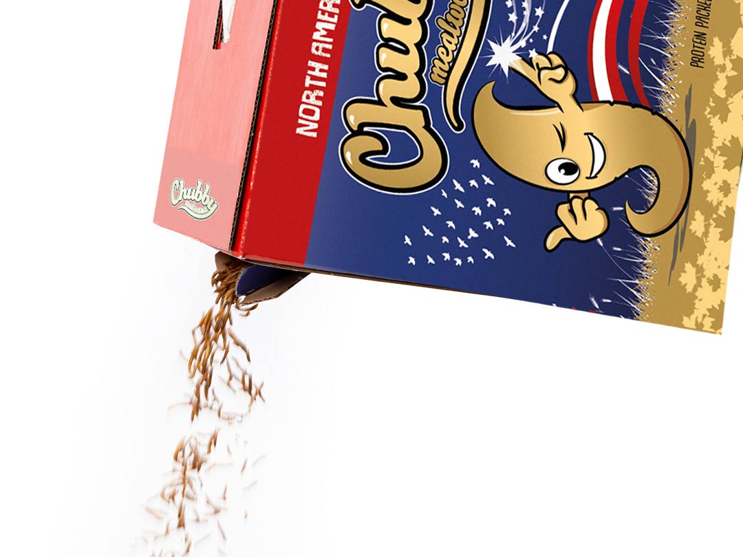 Chubby North American Dried Mealworms 20lbs (Montreal Grown) Recyclable Boxes Non-GMO