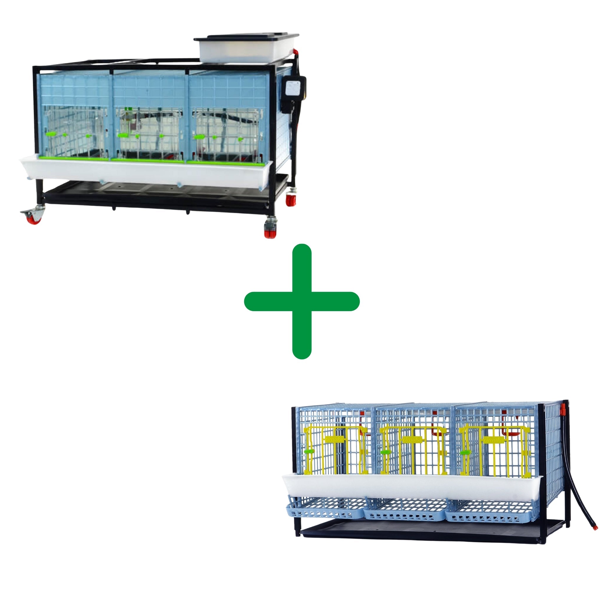 Brooding & Layer Cage Bundle for Chickens | Cimuka