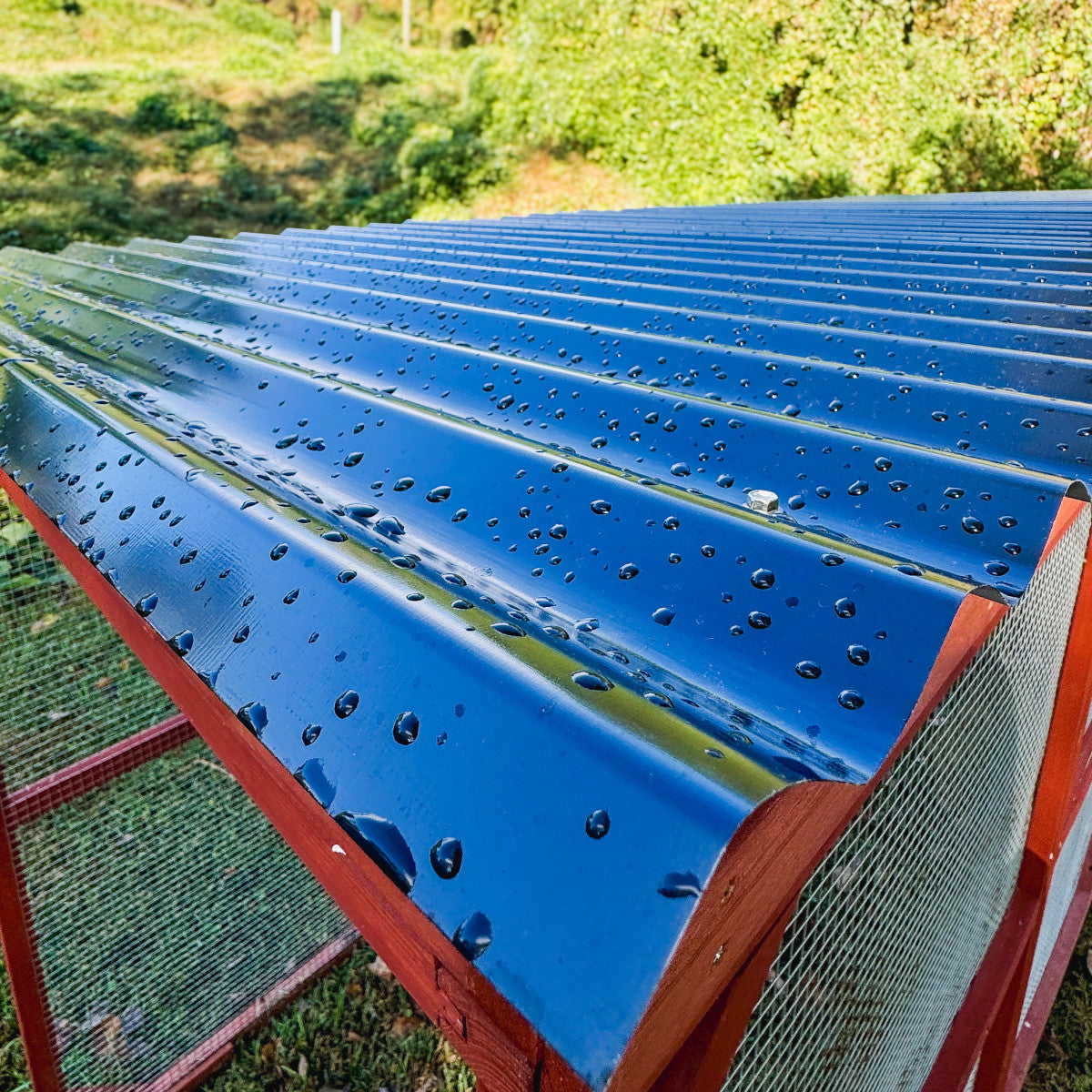 Metal Roof for Run Extension | The Chicken Coop Company