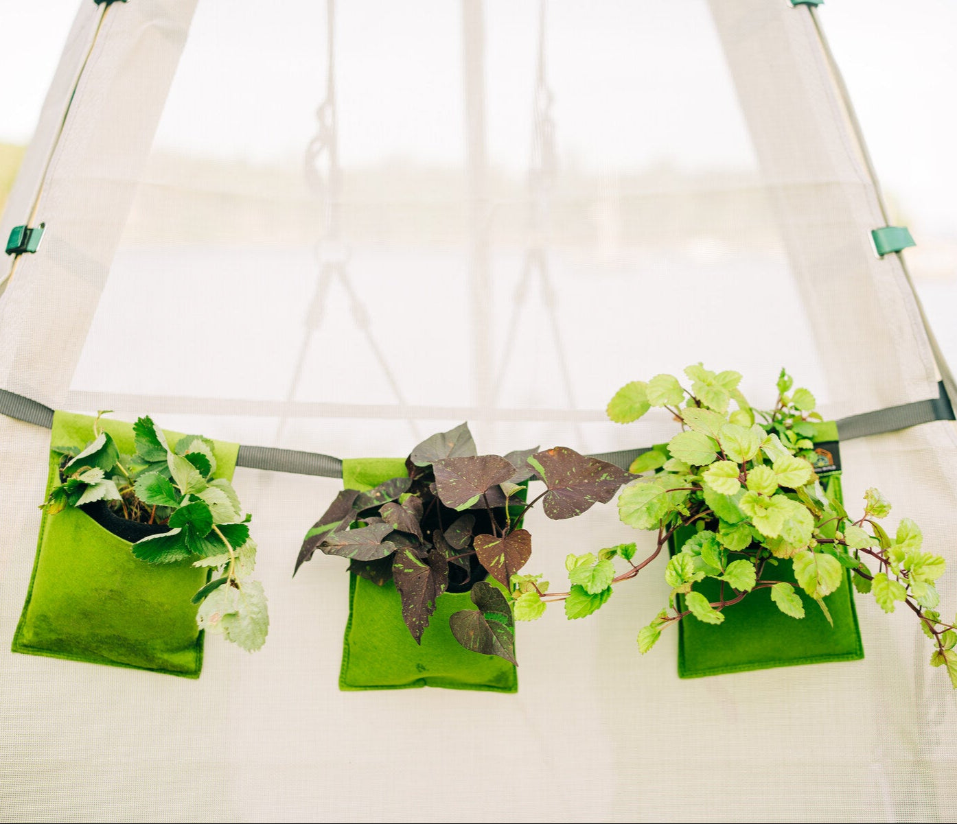 Bijou Bloom Hanging Planters