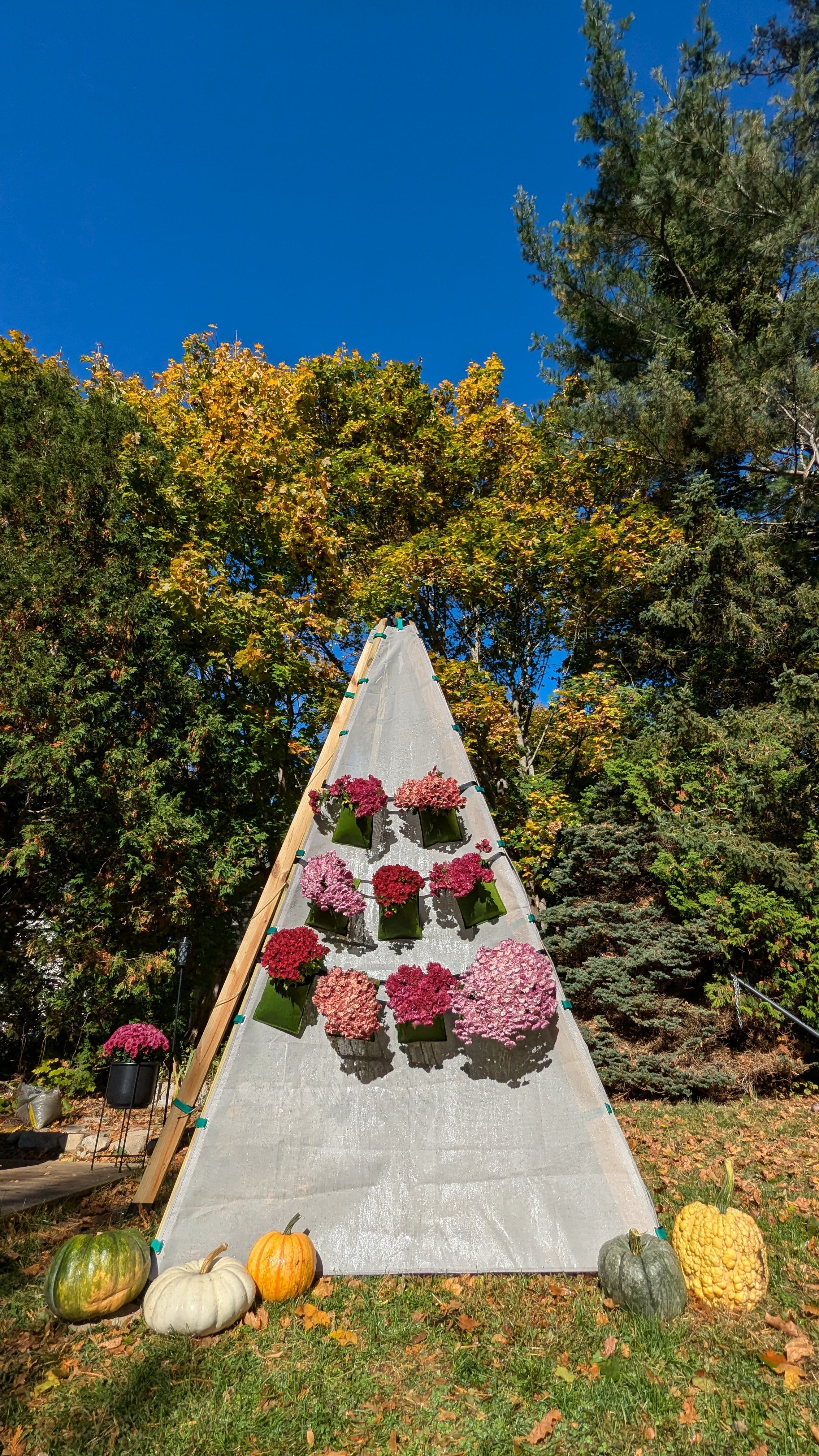 Bijou Bloom Hanging Planters
