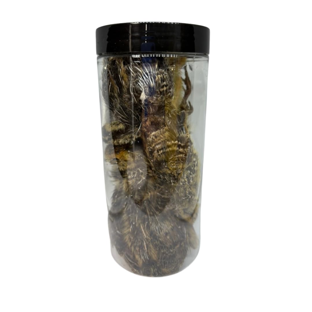 Bird Dog Training Quail inside packaging