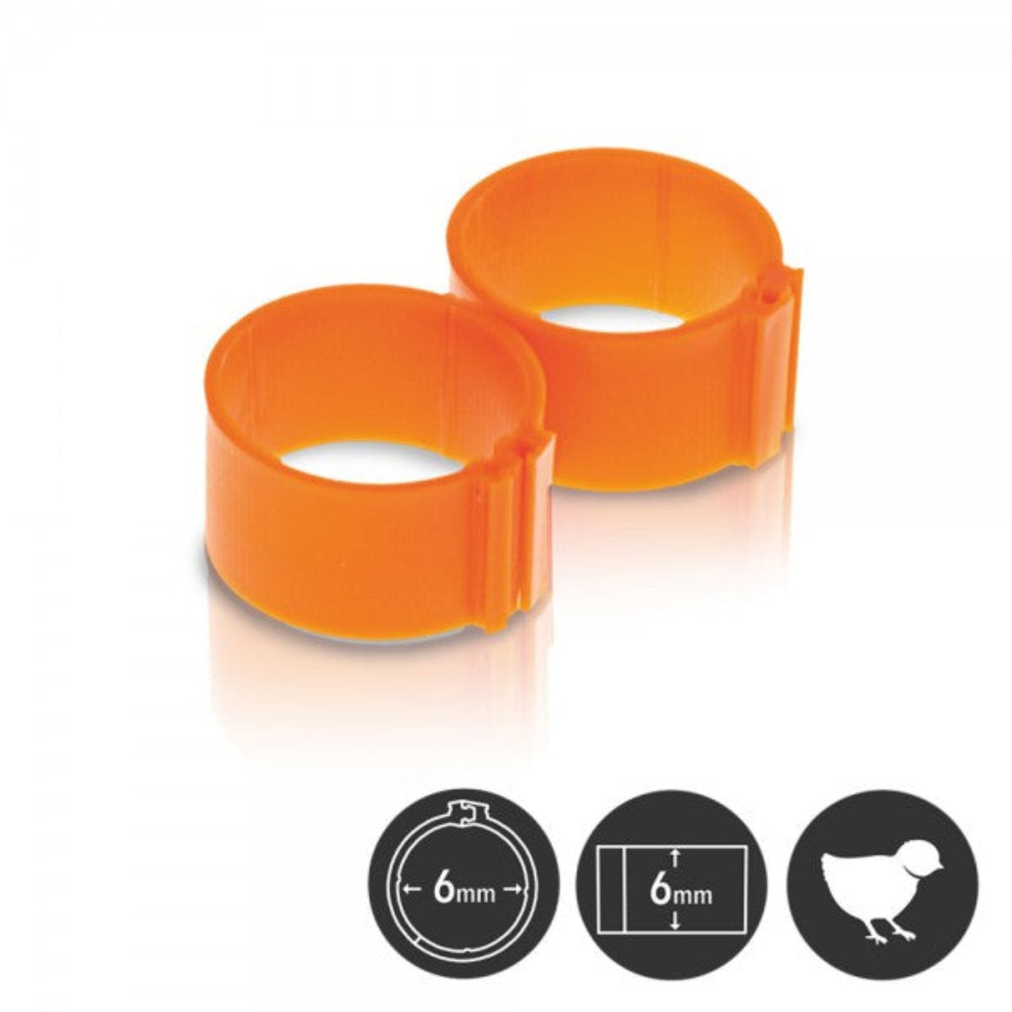 Bright-colored 6 mm leg rings for small bird identification