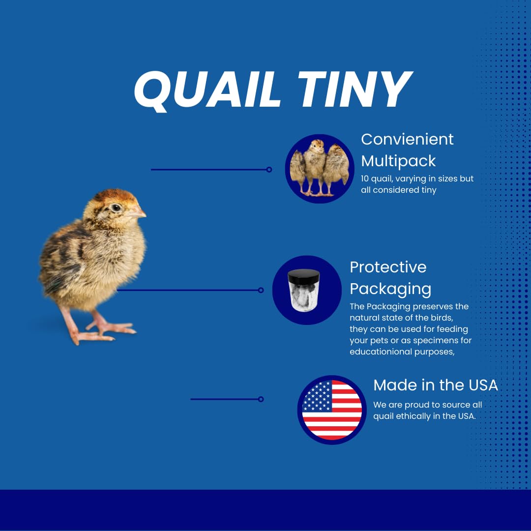 Buddy's Pretty Birds Quail Whole Chick Treats Product Facts
