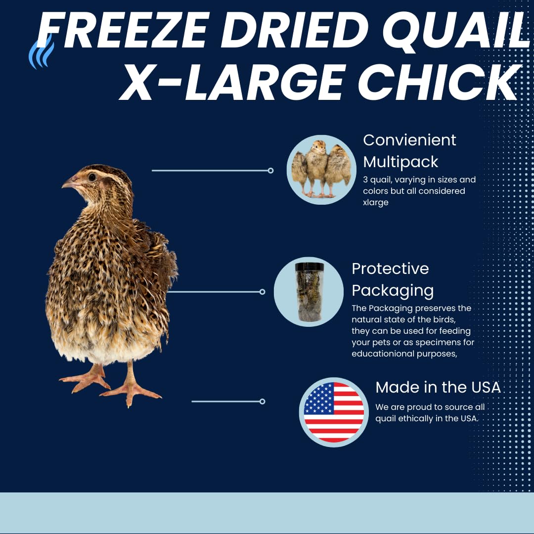 Buddy's Pretty Birds Whole Quail Chicks XL Product Facts