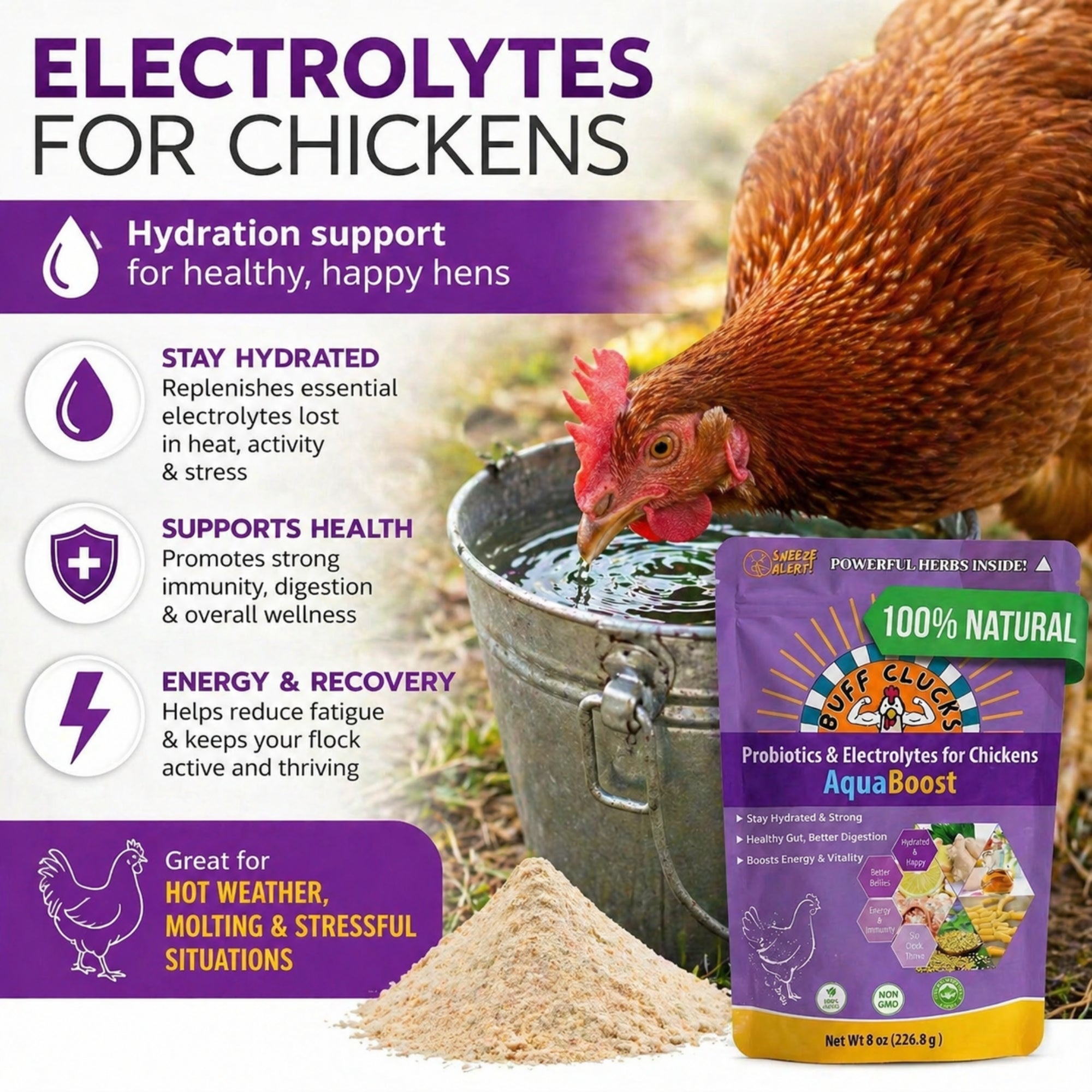 Buff Clucks AquaBoost electrolytes and probiotics for chickens