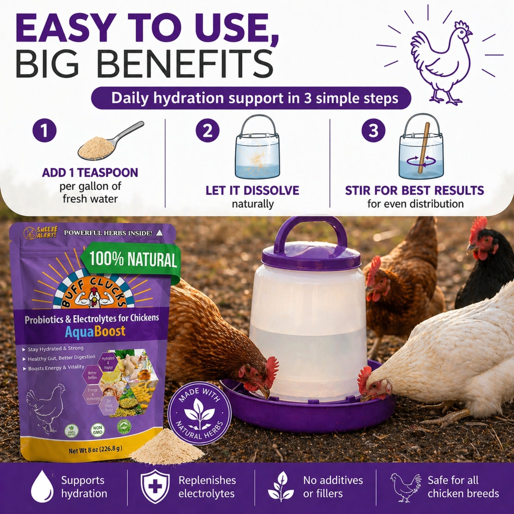 Buff Clucks AquaBoost electrolytes and probiotics for chickens big benefits