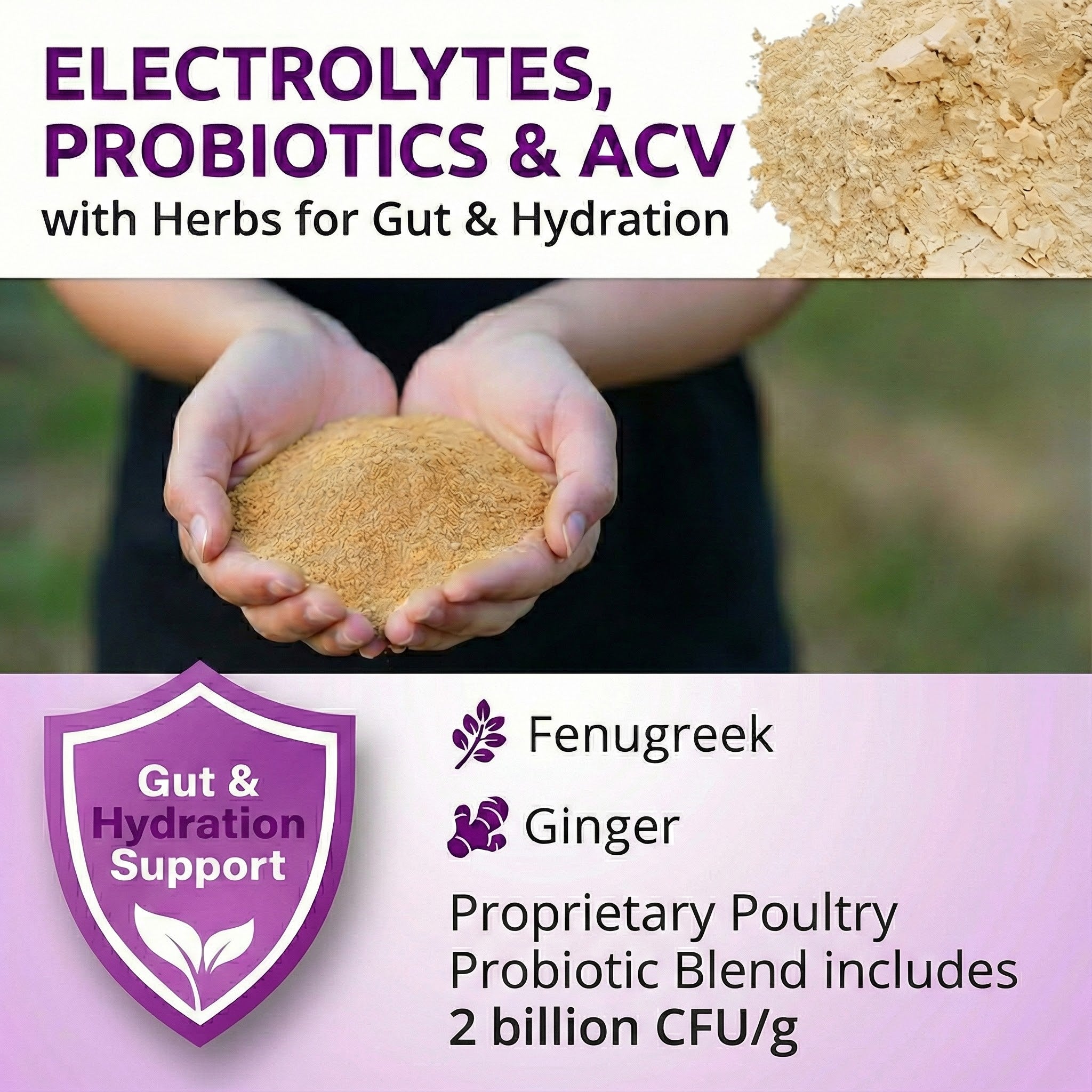Buff Clucks AquaBoost electrolytes and probiotics for chickens gut and hydration support