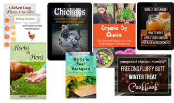 The Backyard Chicken E-book & Education Bundle
